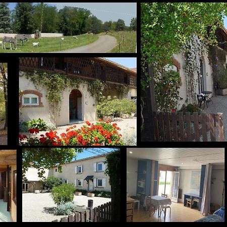 Gites Du Cheron - Speak French Only Brignais Exterior photo